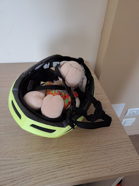 Kuscheltiere liegen zusammengekuschelt in einem neongelben Fahrradhelm auf einem Tisch