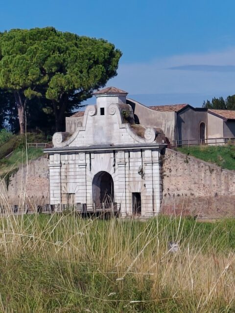 Ein weißes Stadttor in der Festungsmauer von Palmanova, davor hohes Gras, dahinter eine Pinie