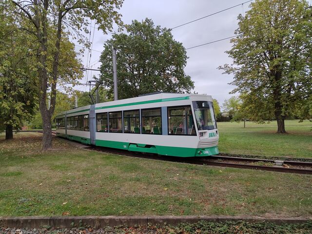Straßenbahn der Linie 6 mitten im Grünen